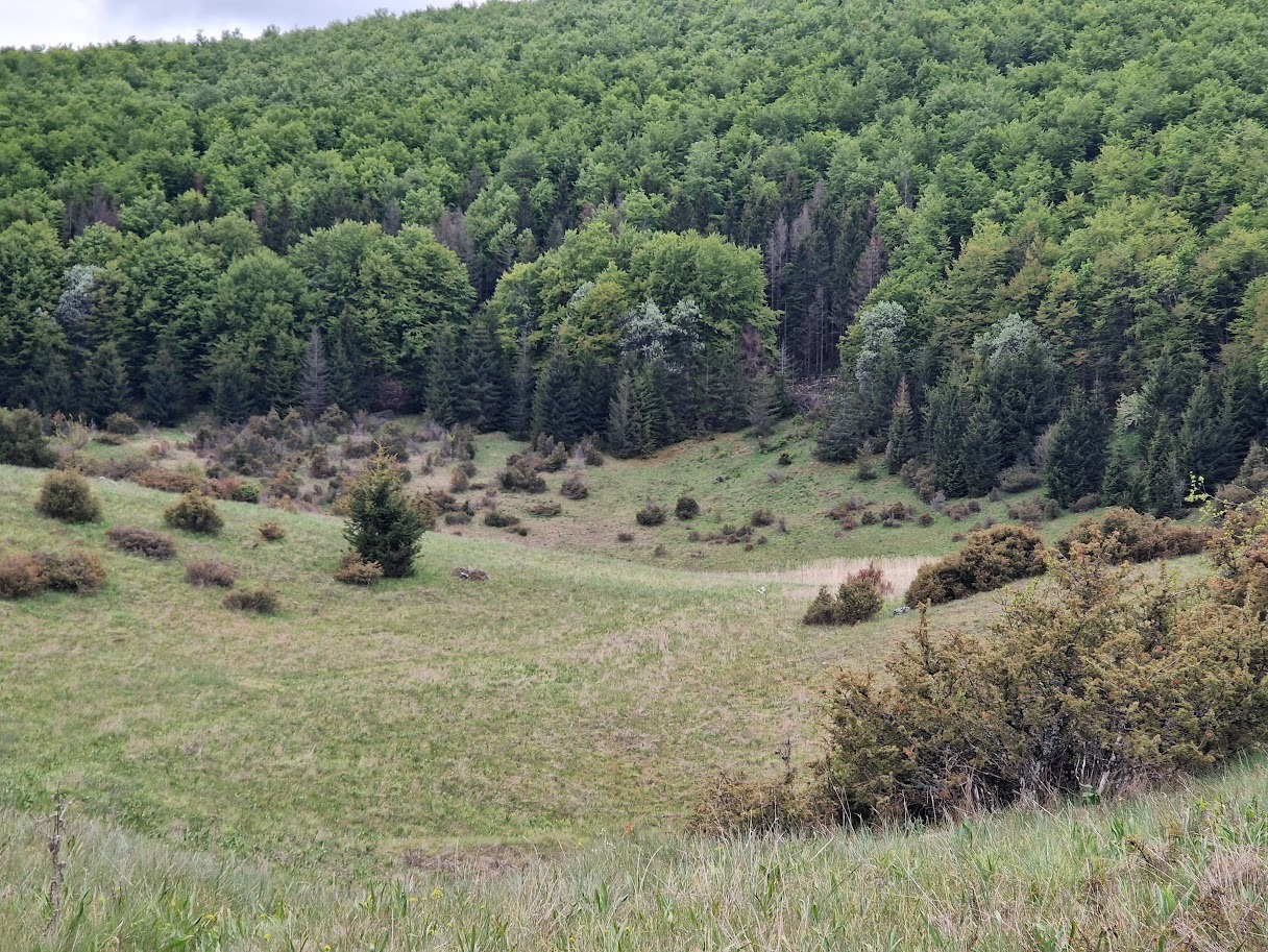 Háttér